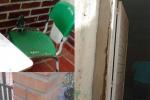 Padres de familia de la Institución Educativa Antonio Enrique Díaz en Valledupar denuncian mal estado de la infraestructura escolar: baños deteriorados, aulas con excrementos de palomas, hacinamiento y muro a punto de colapsar.